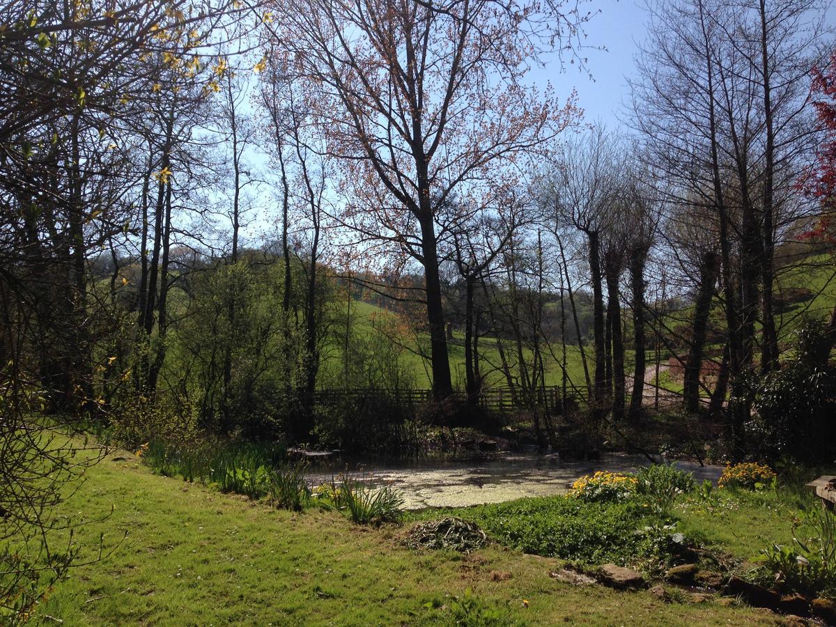Bagnell Cottage Chiselborough Dış mekan fotoğraf
