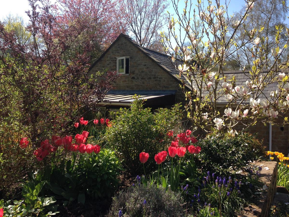 Bagnell Cottage Chiselborough Dış mekan fotoğraf