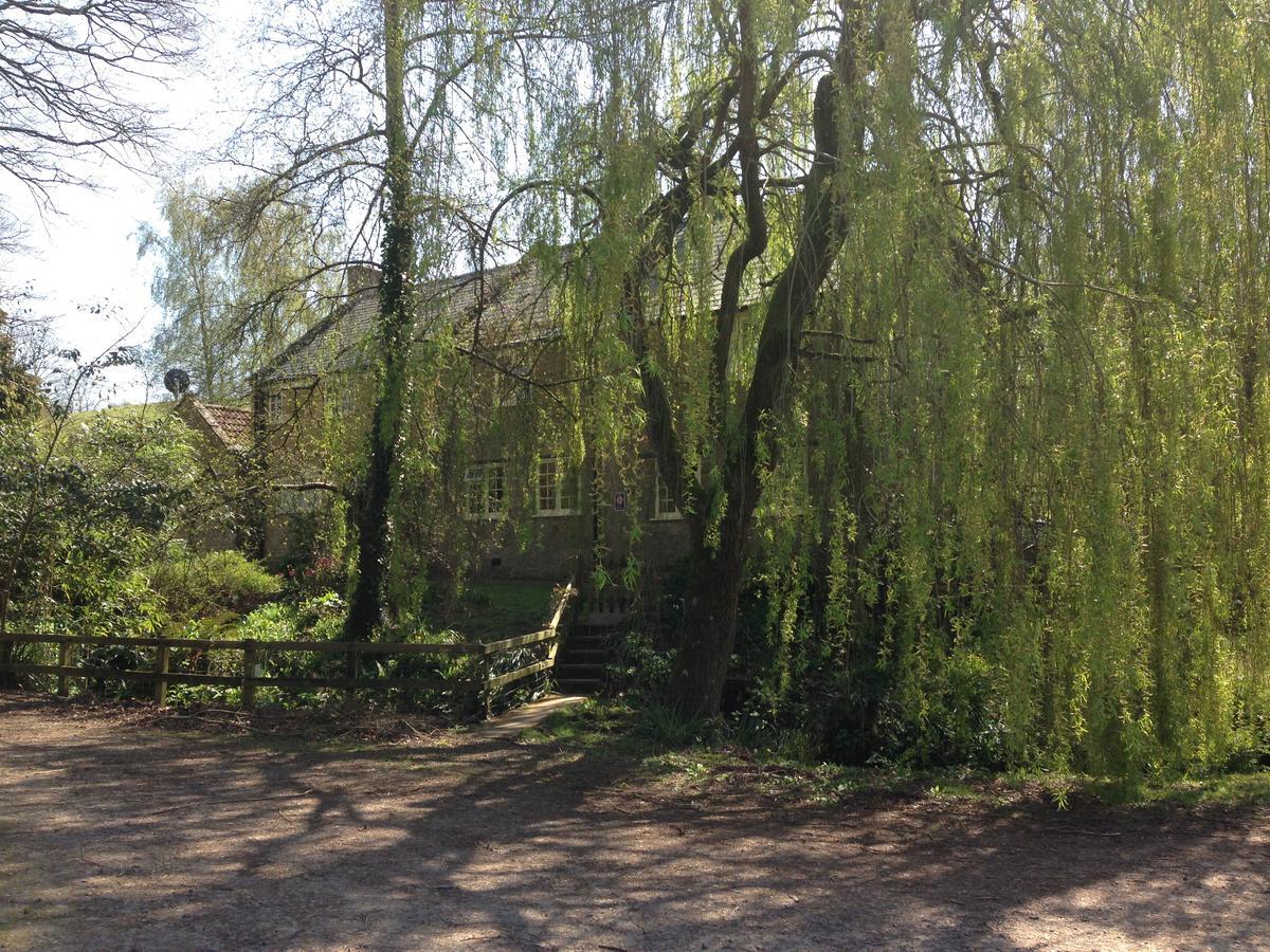 Bagnell Cottage Chiselborough Dış mekan fotoğraf