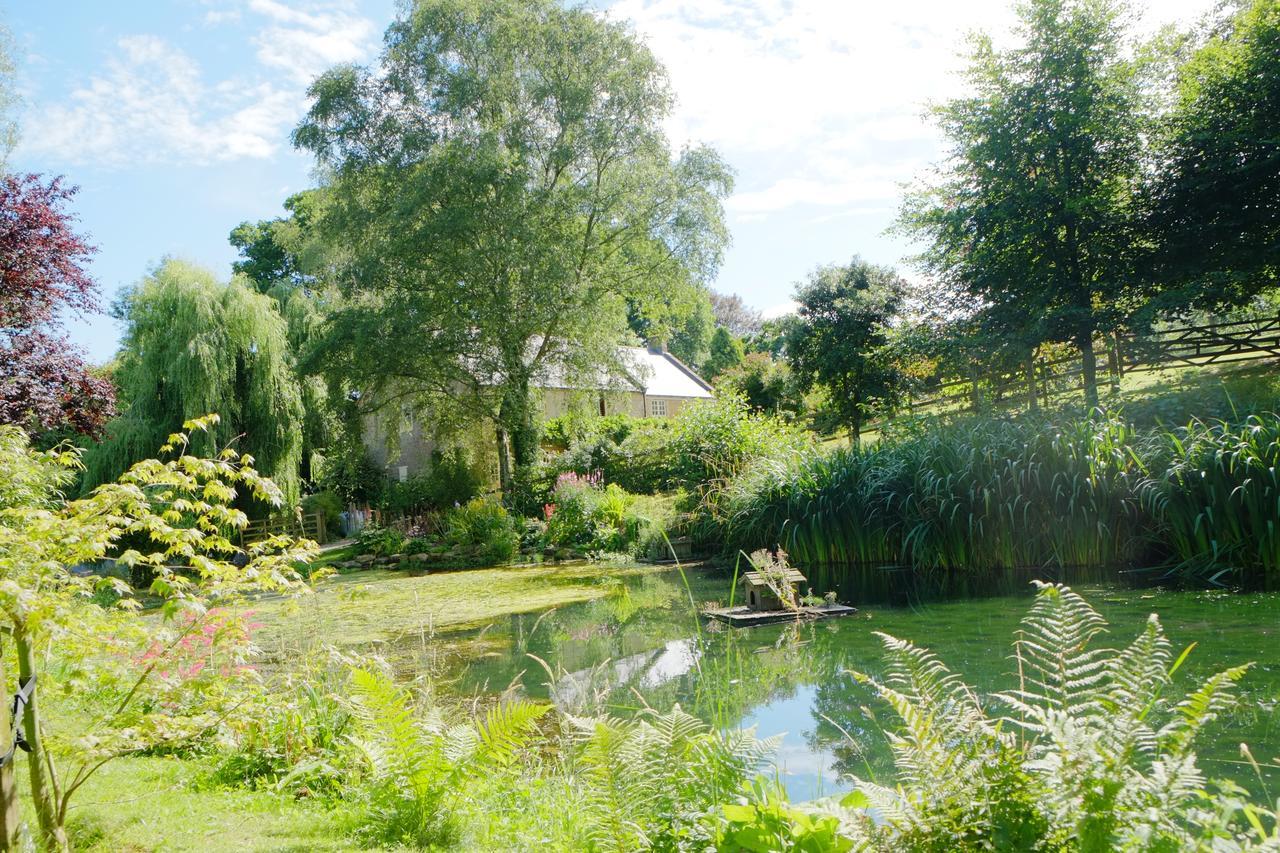 Bagnell Cottage Chiselborough Dış mekan fotoğraf