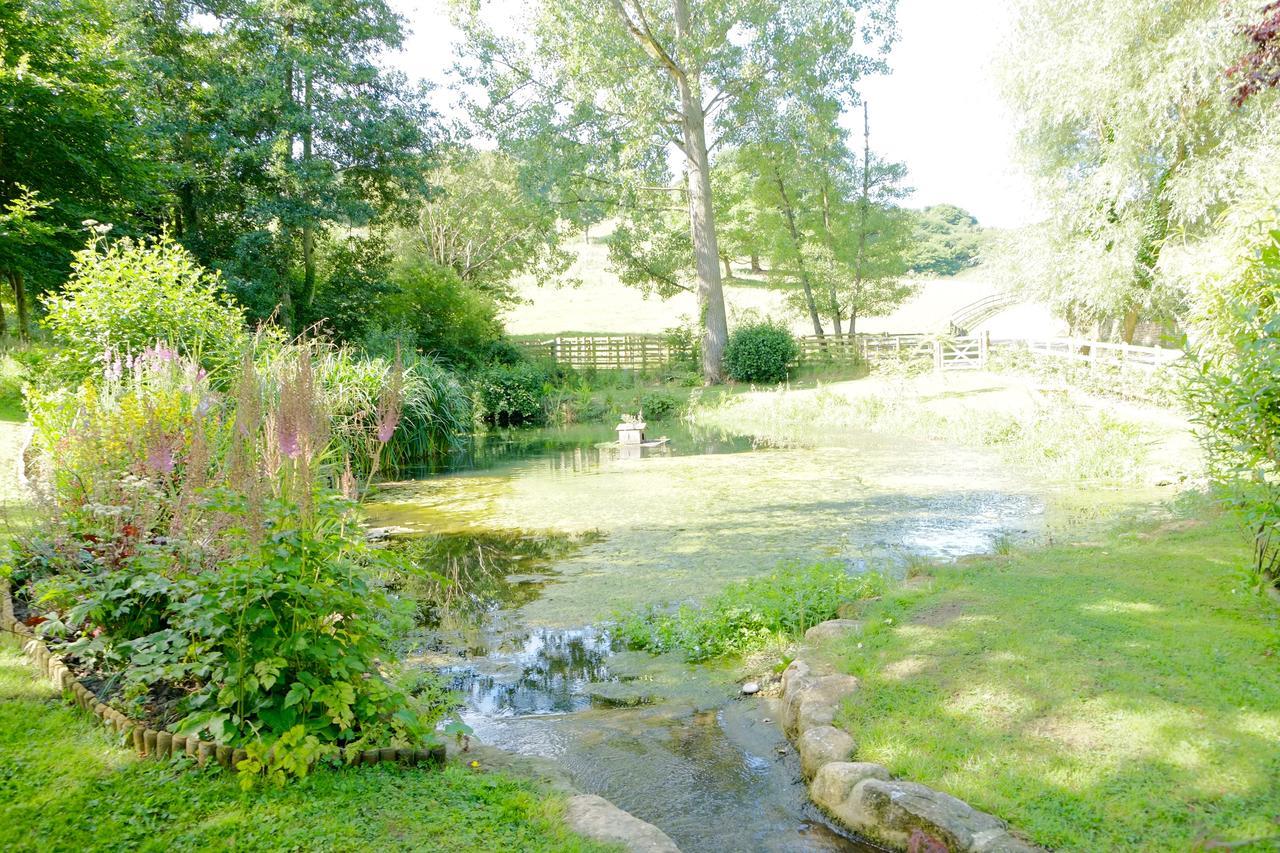 Bagnell Cottage Chiselborough Dış mekan fotoğraf