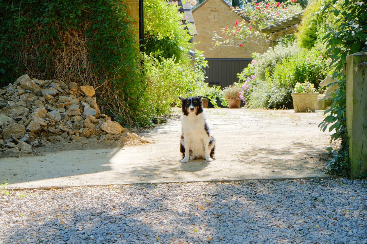 Bagnell Cottage Chiselborough Dış mekan fotoğraf