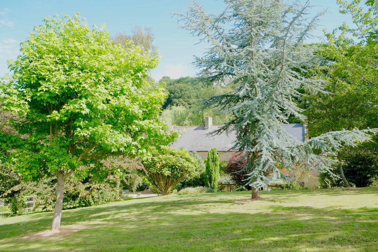 Bagnell Cottage Chiselborough Dış mekan fotoğraf