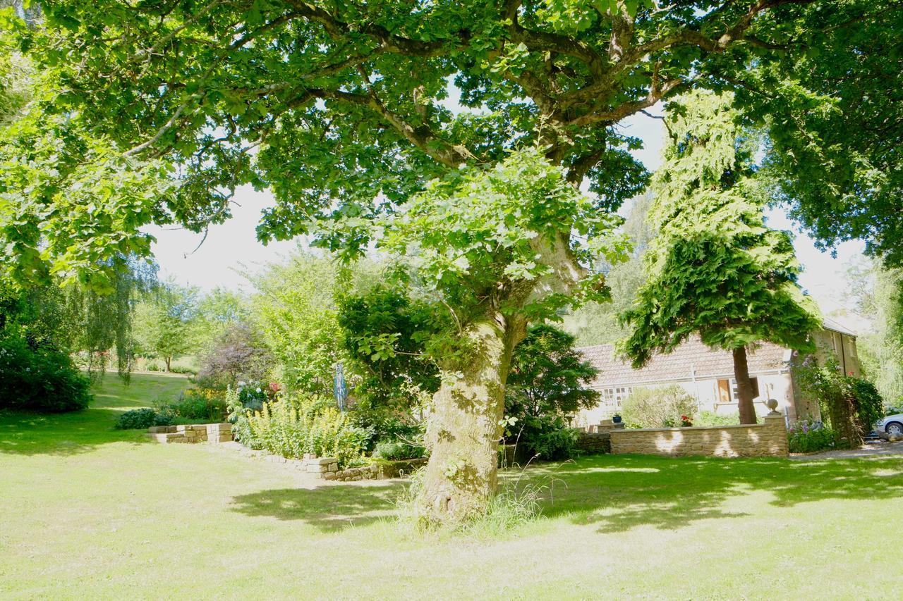Bagnell Cottage Chiselborough Dış mekan fotoğraf
